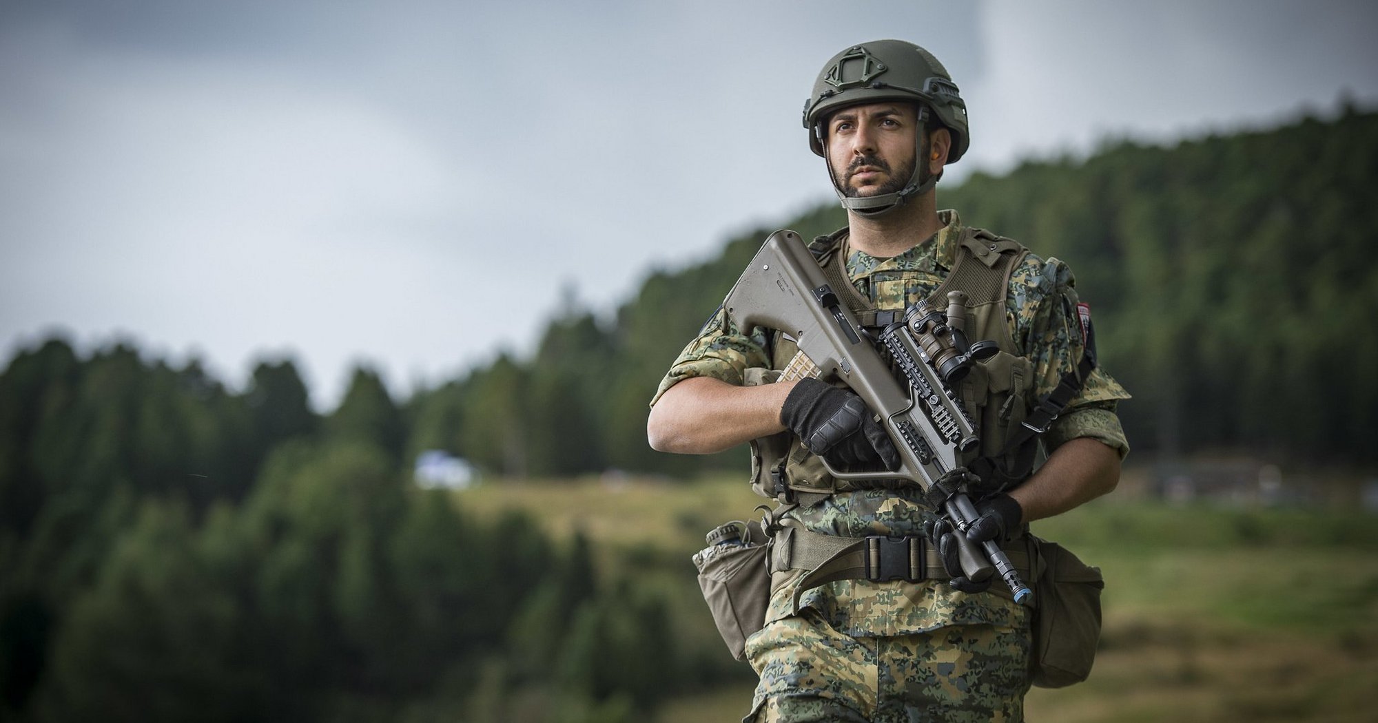 The System Behind the Austrian Armed Forces